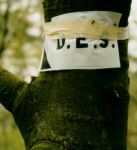 Nog een speurtocht... verraderlijk!